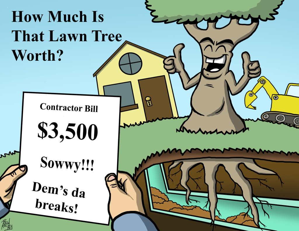 Comic showing tree root infiltration and consequences